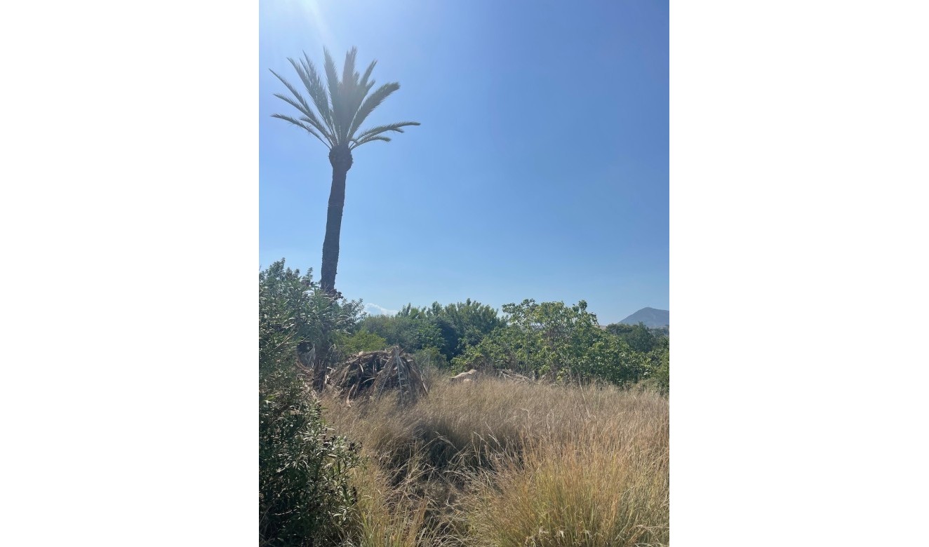 Resales - Plots of Land - Altea