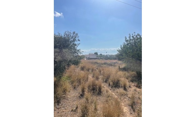Resales - Plots of Land - Altea