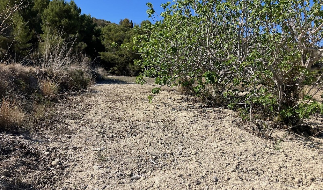 Liegenschaften - Grundstücke und Bauland - Benissa