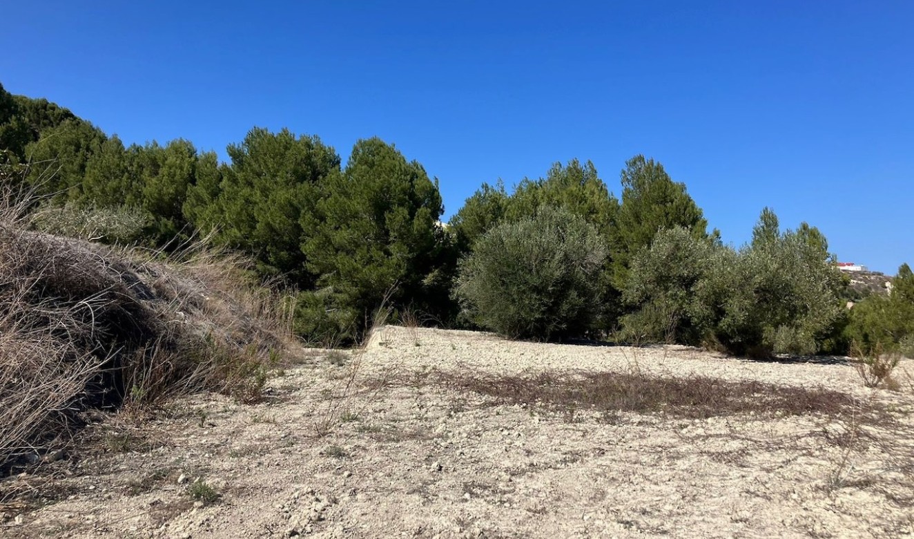 Liegenschaften - Grundstücke und Bauland - Benissa