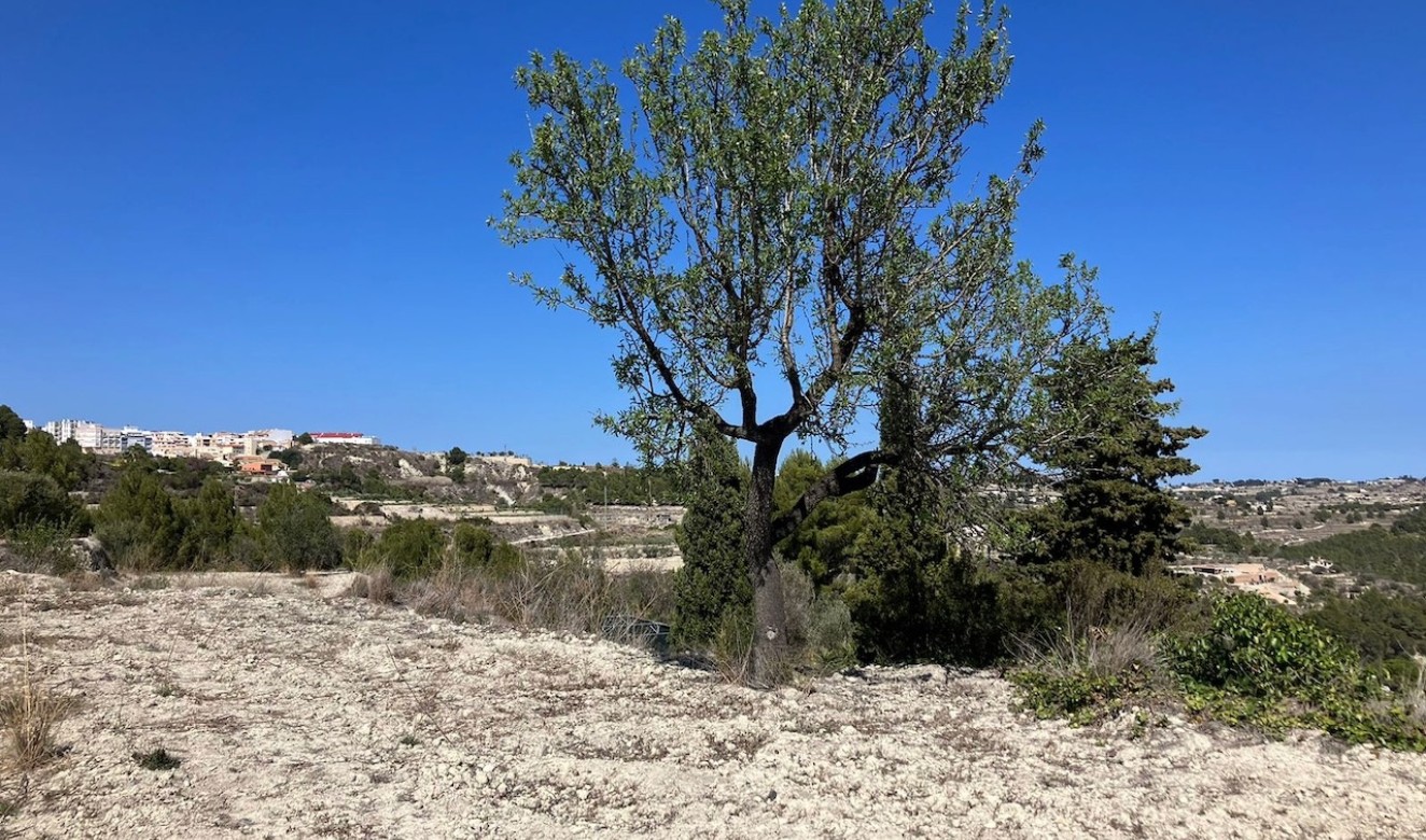 Liegenschaften - Grundstücke und Bauland - Benissa