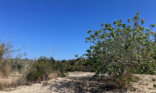 Liegenschaften - Grundstücke und Bauland - Benissa