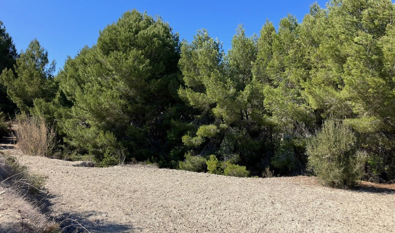 Liegenschaften - Grundstücke und Bauland - Benissa