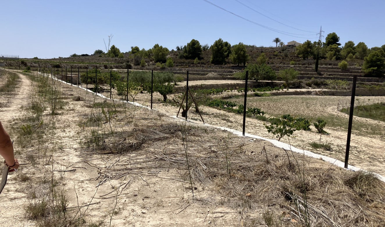Resales - Plots of Land - Benissa - Partida Berdica