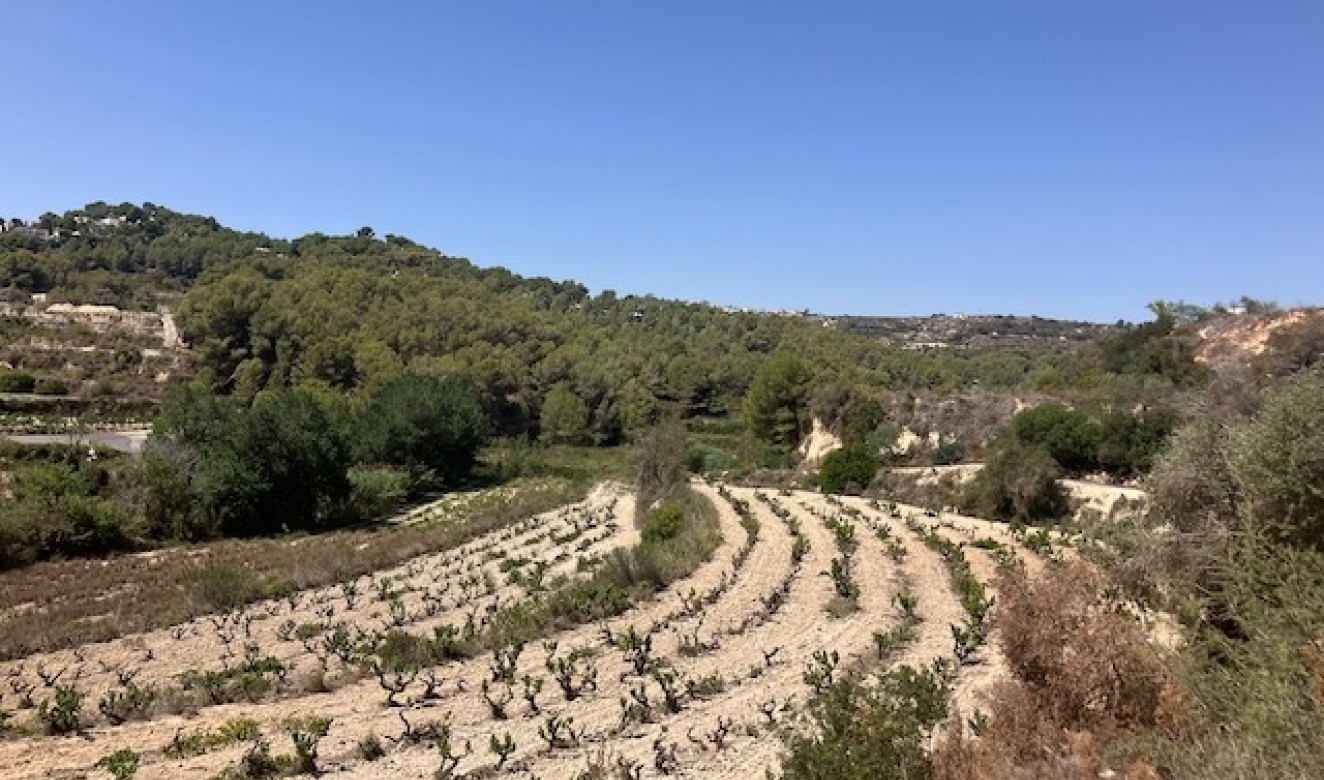 Reventes - Propriétés et Terrains constructibles - Teulada