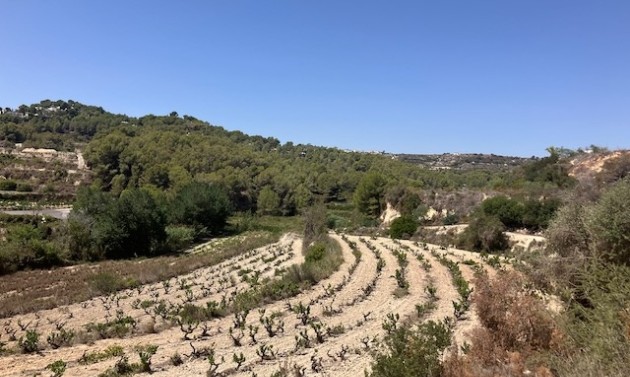 Reventes - Propriétés et Terrains constructibles - Teulada