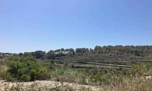 Reventes - Propriétés et Terrains constructibles - Teulada