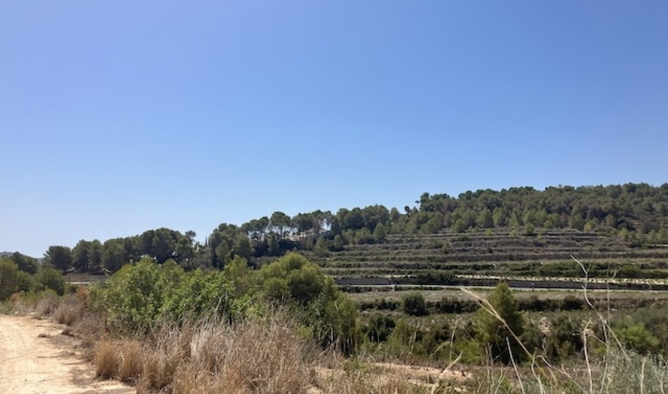 Reventes - Propriétés et Terrains constructibles - Teulada