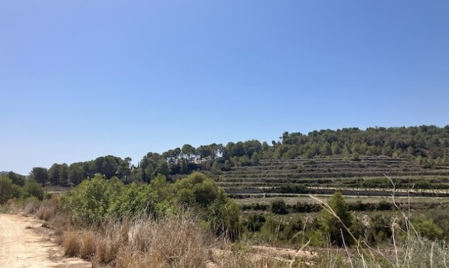 Reventes - Propriétés et Terrains constructibles - Teulada