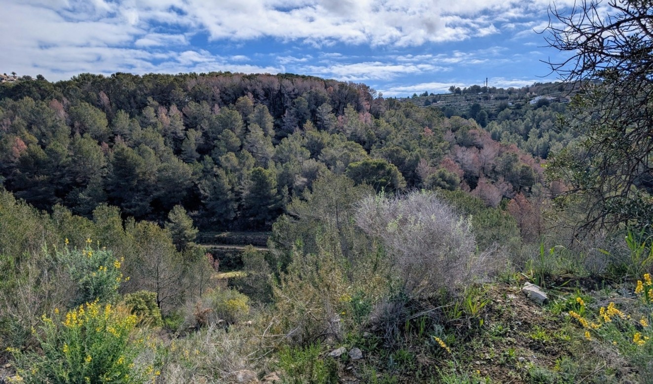 Resales - Plots of Land - Benissa - Partida Biasner