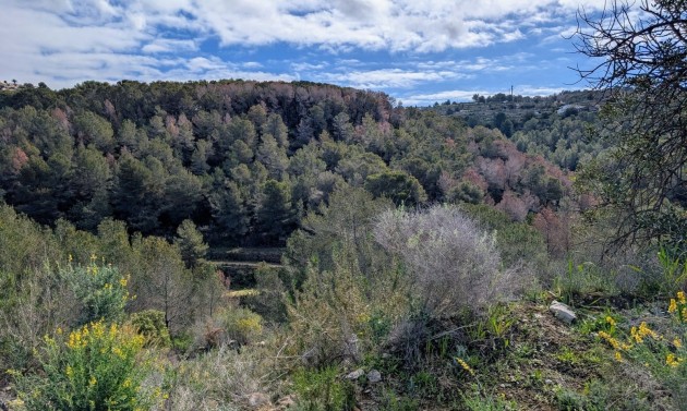 Resales - Plots of Land - Benissa - Partida Biasner