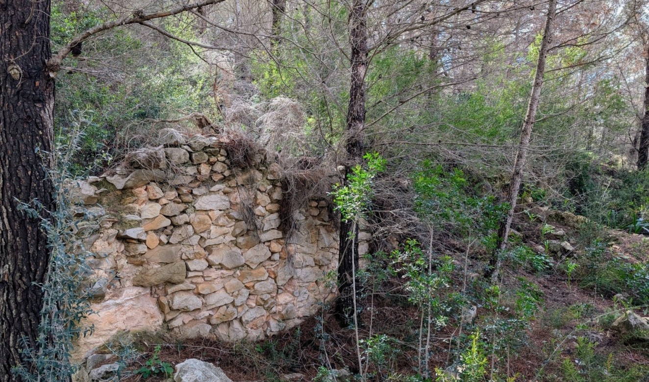 Resales - Plots of Land - Benissa - Partida Biasner