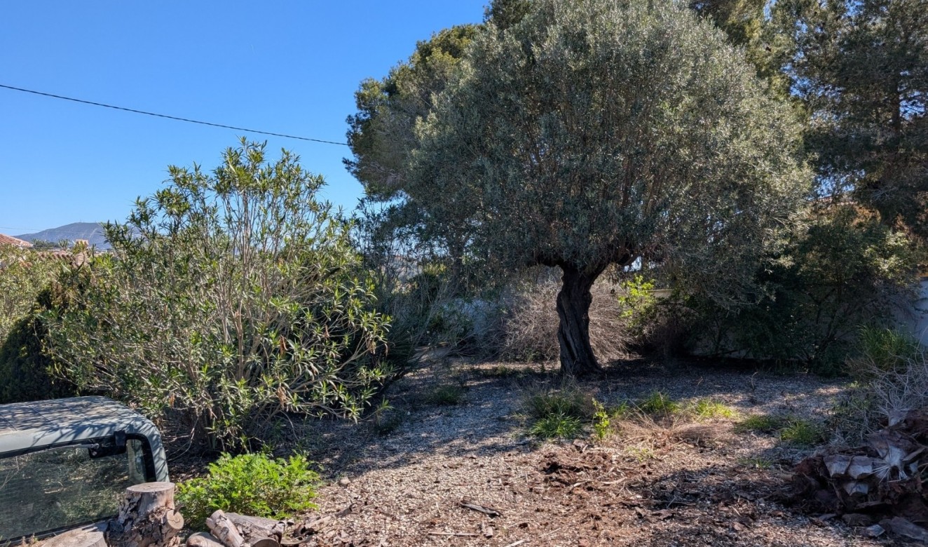 Reventas - Parcelas y Terrenos - Benissa - Buenavista