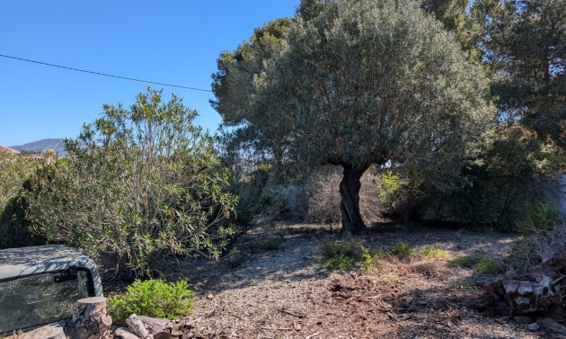 Reventas - Parcelas y Terrenos - Benissa - Buenavista