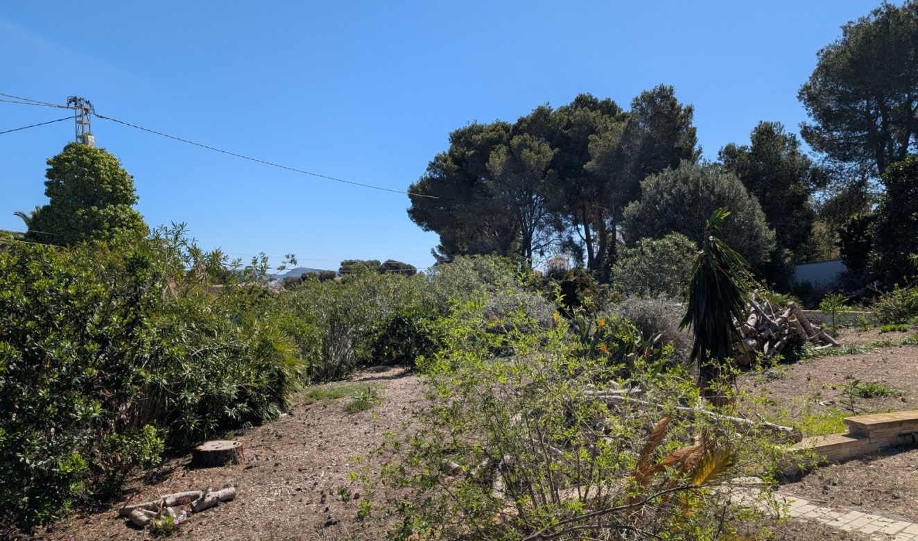 Reventas - Parcelas y Terrenos - Benissa - Buenavista