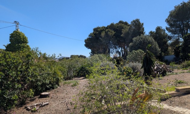 Reventas - Parcelas y Terrenos - Benissa - Buenavista