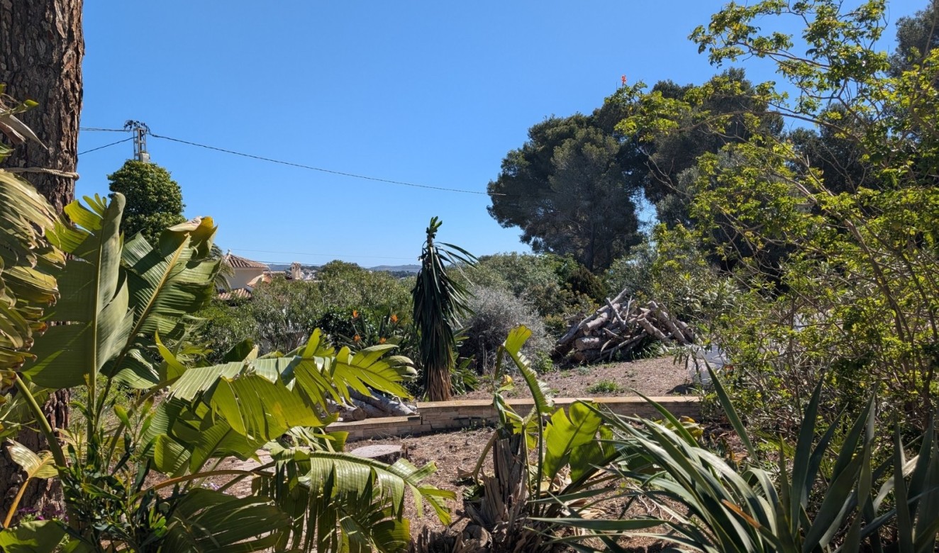 Reventas - Parcelas y Terrenos - Benissa - Buenavista