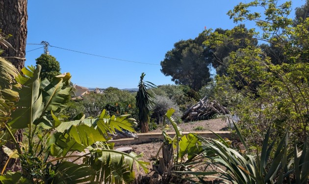 Reventas - Parcelas y Terrenos - Benissa - Buenavista