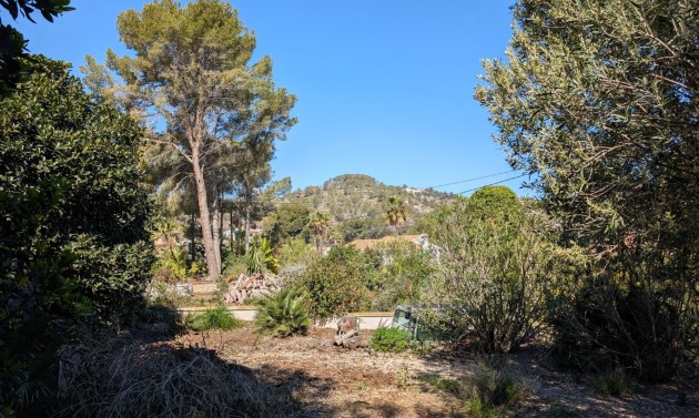 Reventas - Parcelas y Terrenos - Benissa - Buenavista