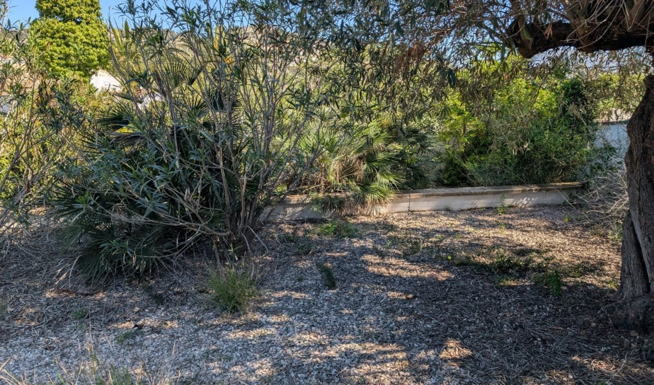 Reventas - Parcelas y Terrenos - Benissa - Buenavista