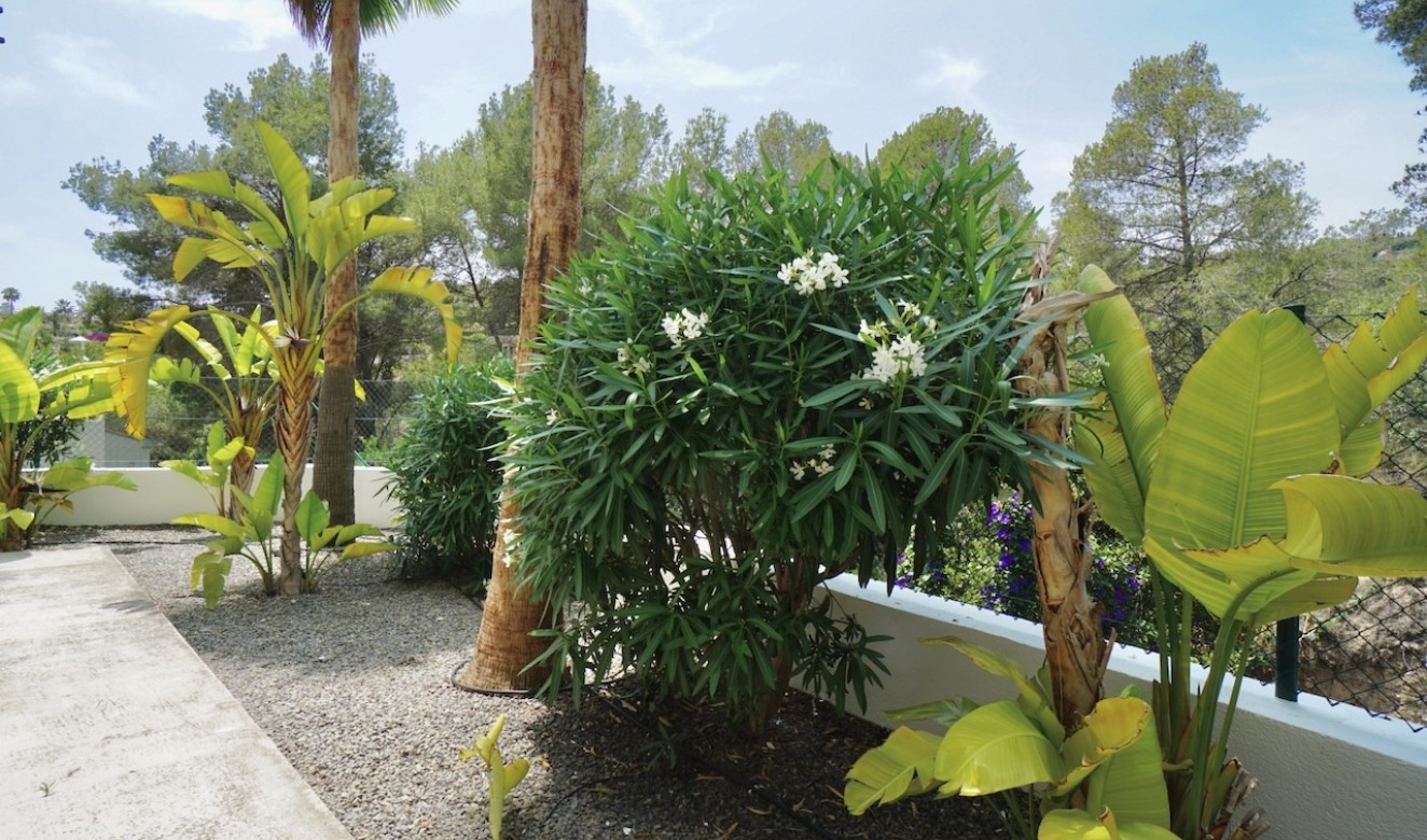 Resales - Villas - Benissa - Montemar