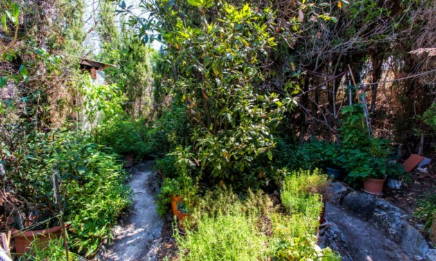 Resales - Villas - Calpe - La Cometa