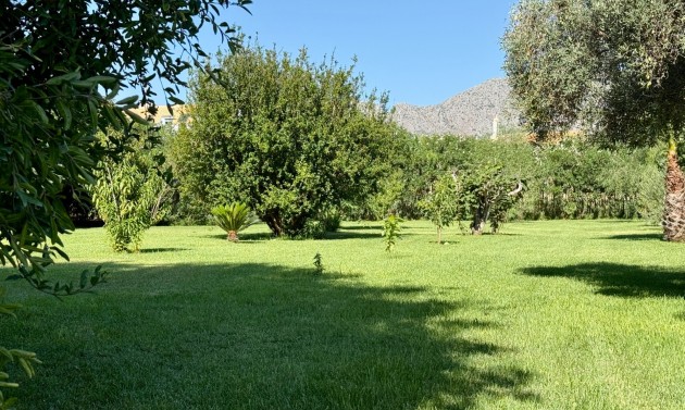 Liegenschaften - Villen - Denia