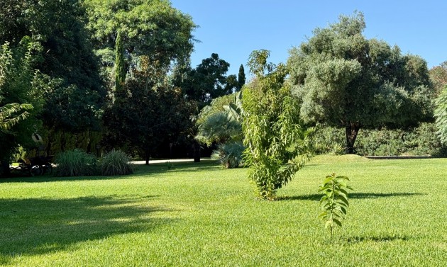 Liegenschaften - Villen - Denia