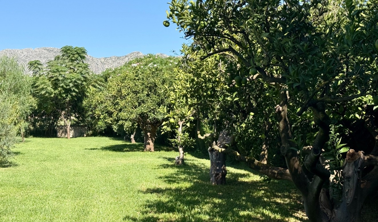 Liegenschaften - Villen - Denia