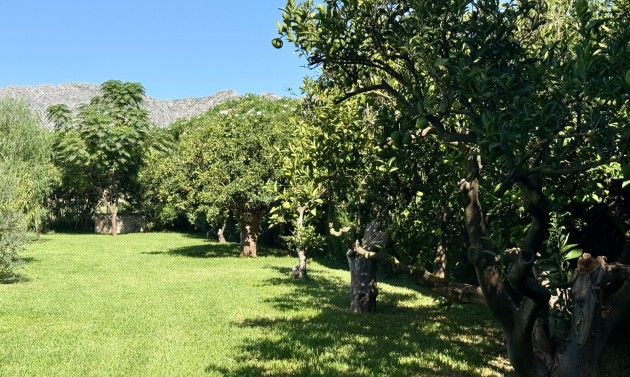 Liegenschaften - Villen - Denia