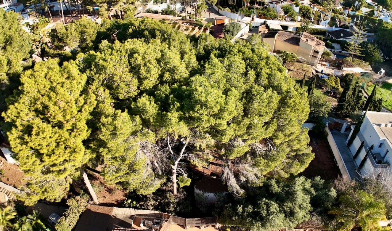 Resales - Plots of Land - Moraira - La Cometa