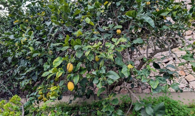 Resales - Villas - Benissa - Fanadix