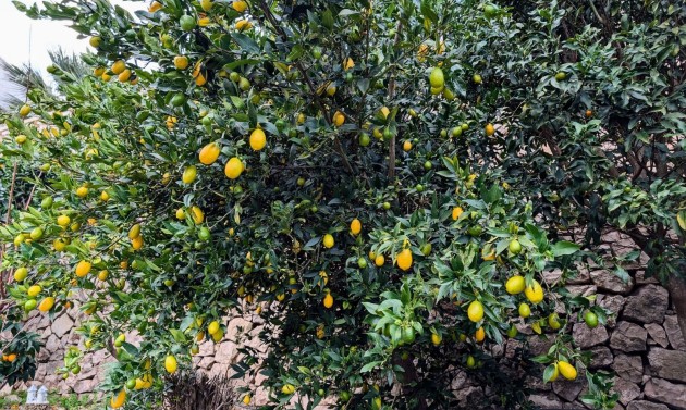 Resales - Villas - Benissa - Fanadix