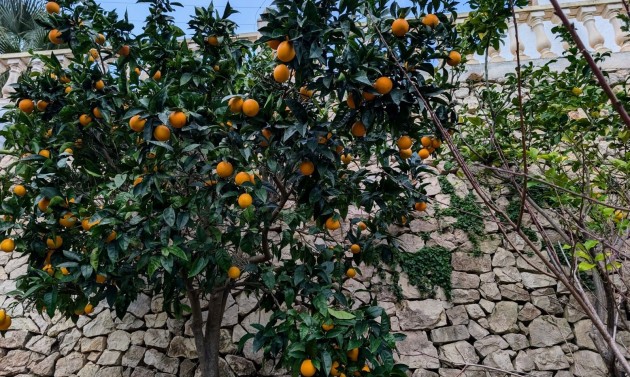 Resales - Villas - Benissa - Fanadix