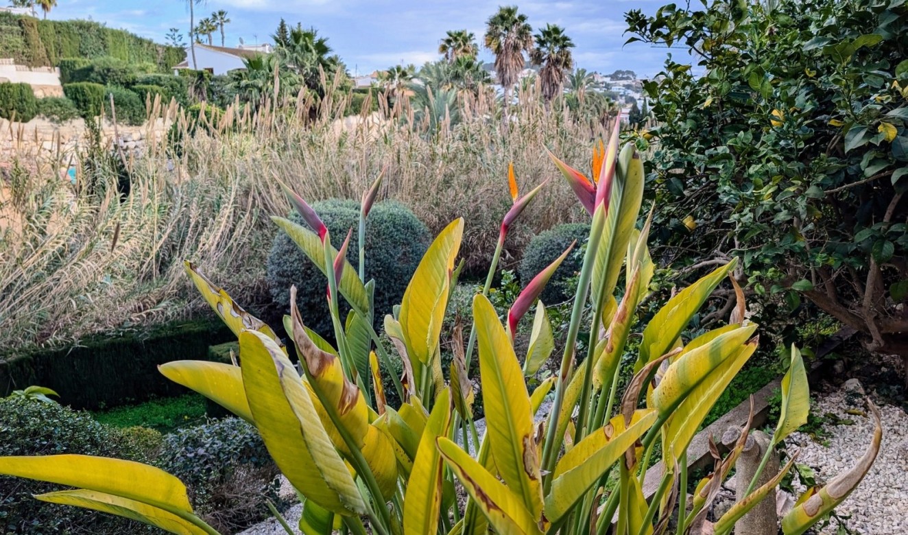 Resales - Villas - Benissa - Fanadix