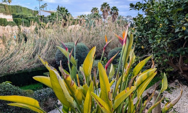 Resales - Villas - Benissa - Fanadix