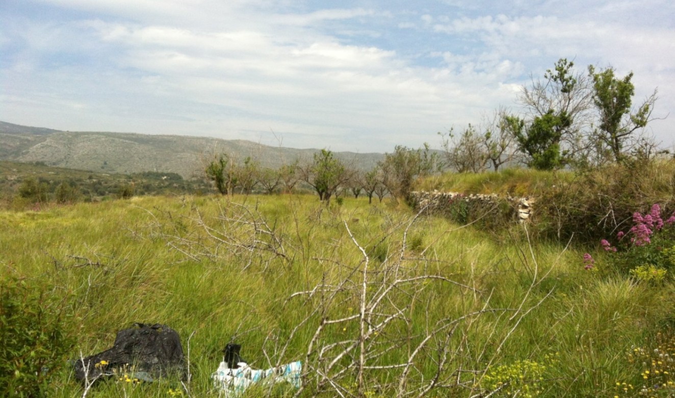 Long term Rentals - Plots of Land - Benissa - Partida Berdica