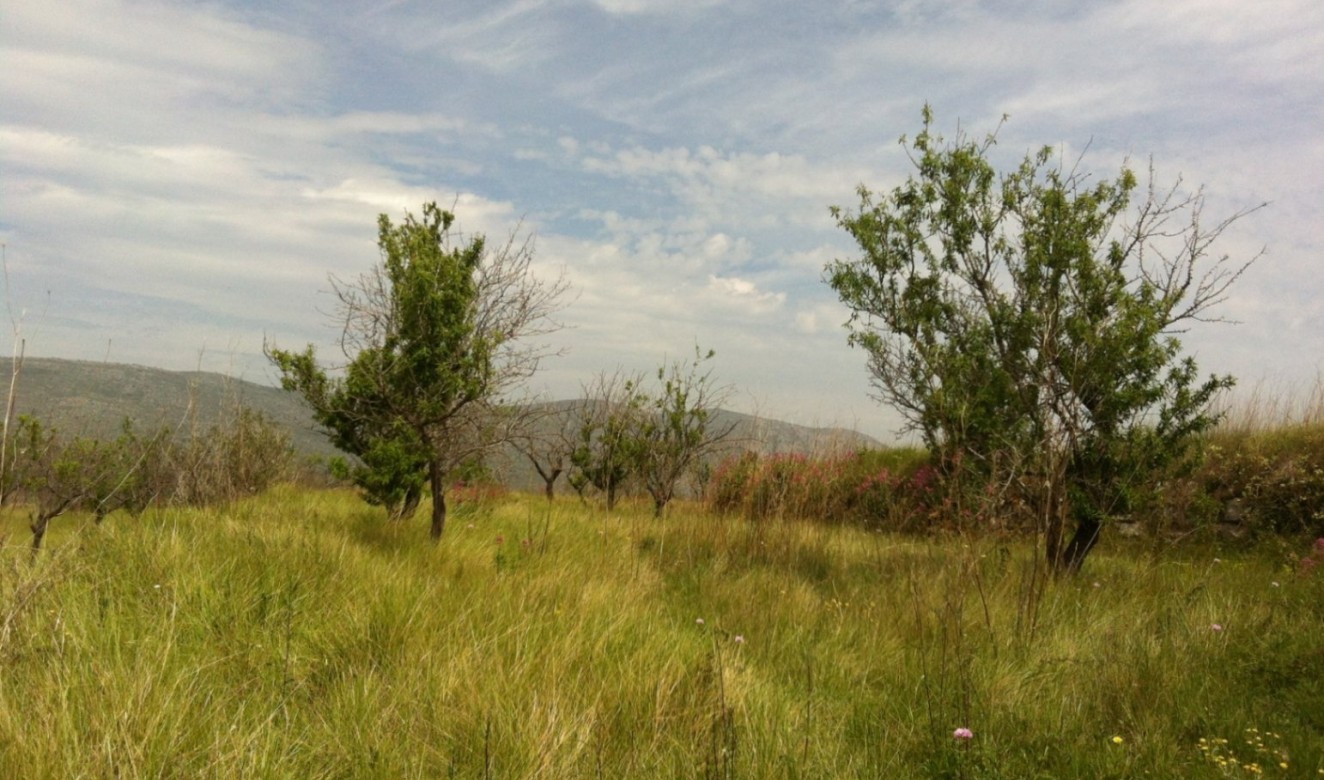 Long term Rentals - Plots of Land - Benissa - Partida Berdica