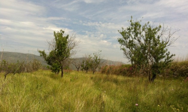 Long term Rentals - Plots of Land - Benissa - Partida Berdica