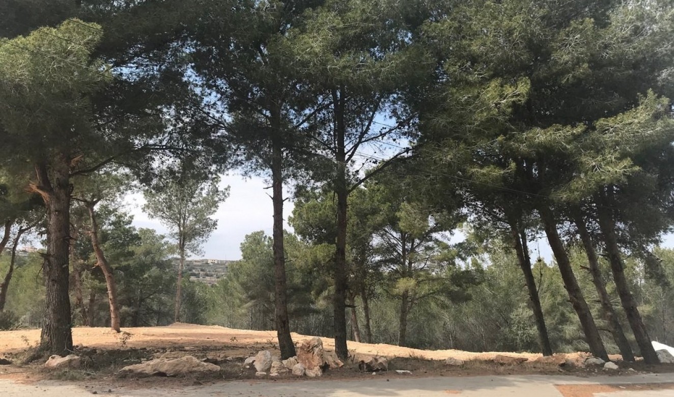 Long term Rentals - Plots of Land - Moraira - Benimeit