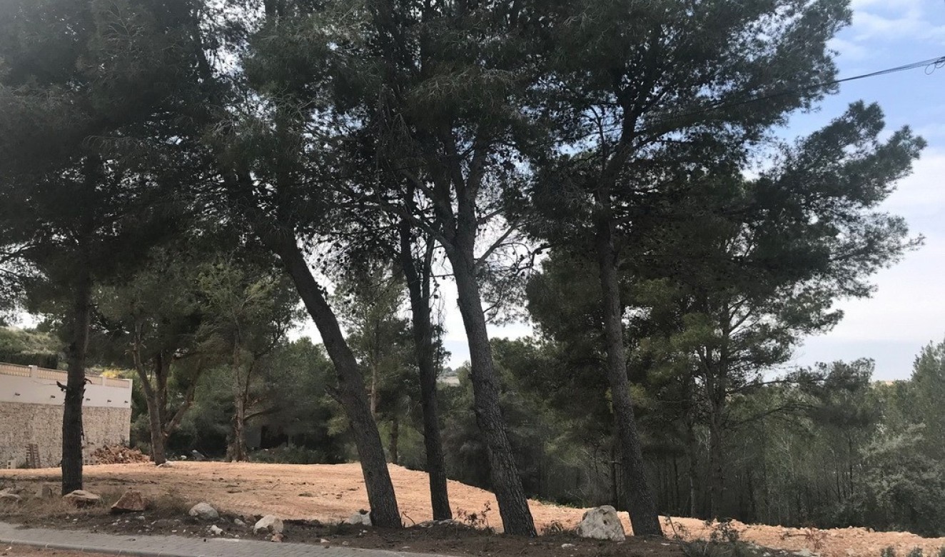 Long term Rentals - Plots of Land - Moraira - Benimeit