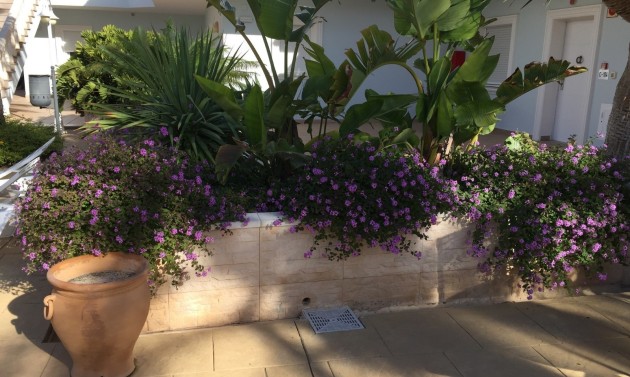 Long term Rentals - Apartments - Flats - Benissa - La Fustera