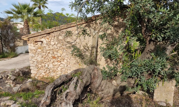 Liegenschaften - Grundstücke und Bauland - Murla