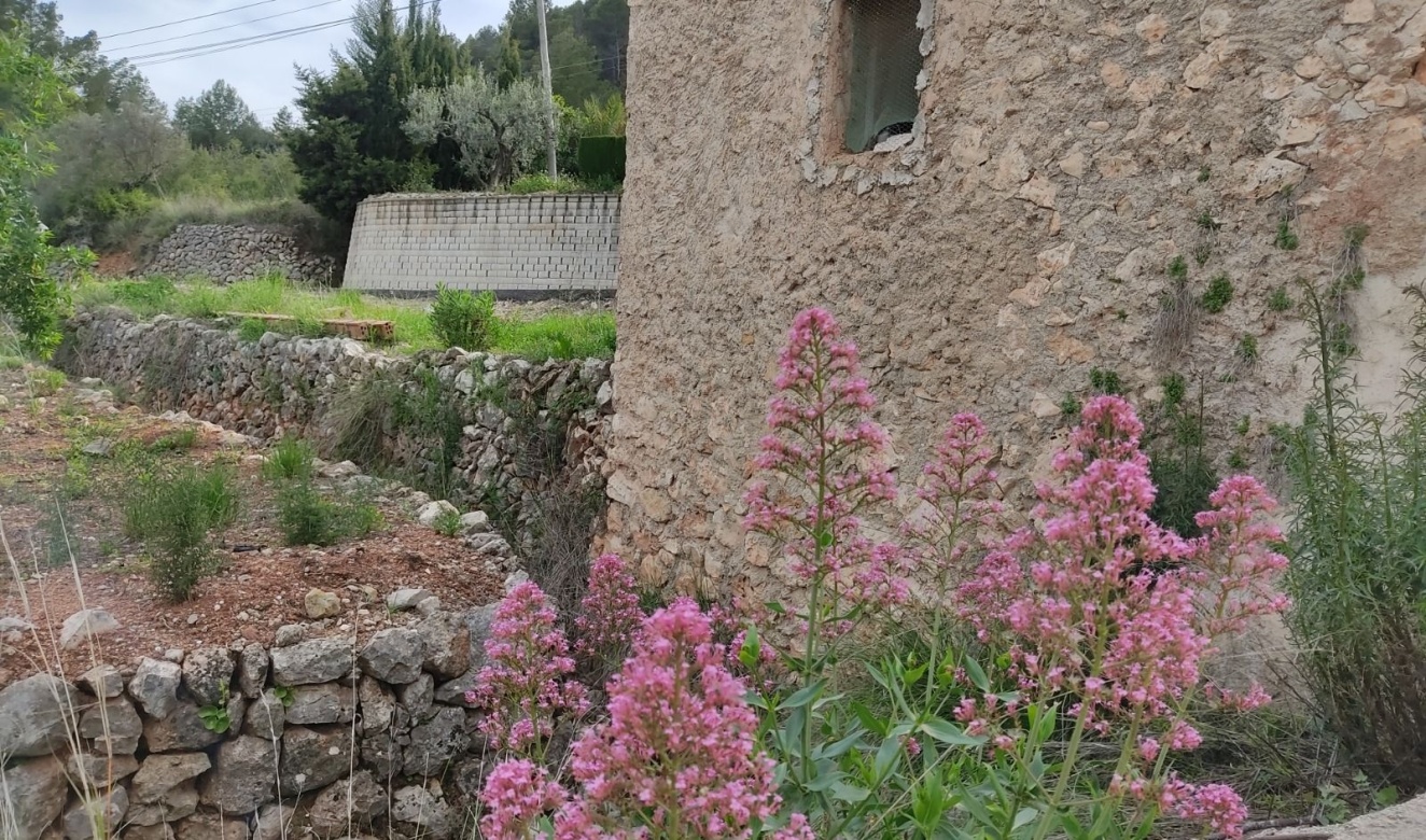 Liegenschaften - Grundstücke und Bauland - Murla