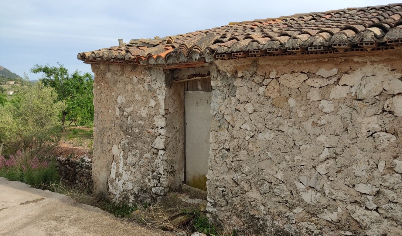 Liegenschaften - Grundstücke und Bauland - Murla