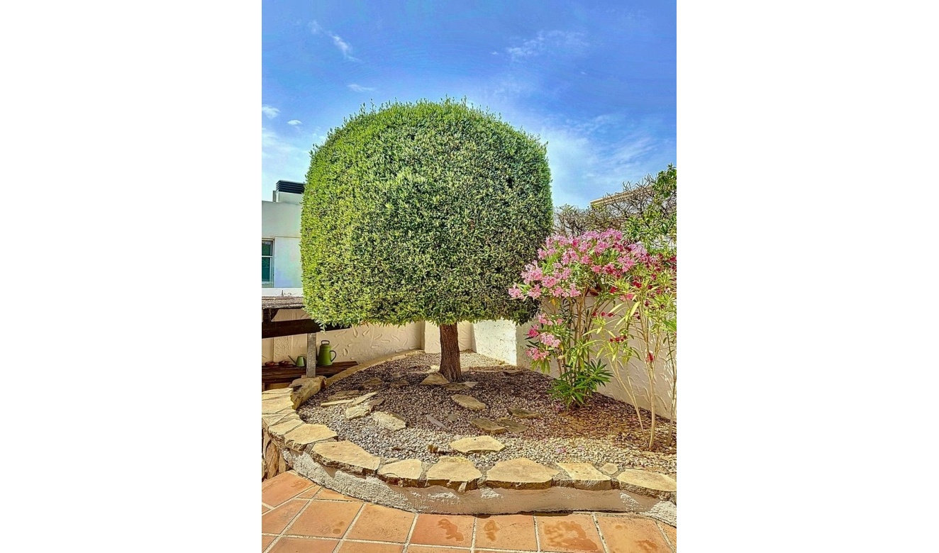 Alquiler a largo plazo - Villas - Chalets - Moraira - La Sabatera