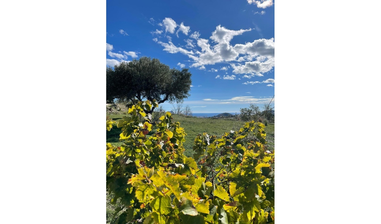 Reventes - Maisons de Campagne - Fincas - Benissa