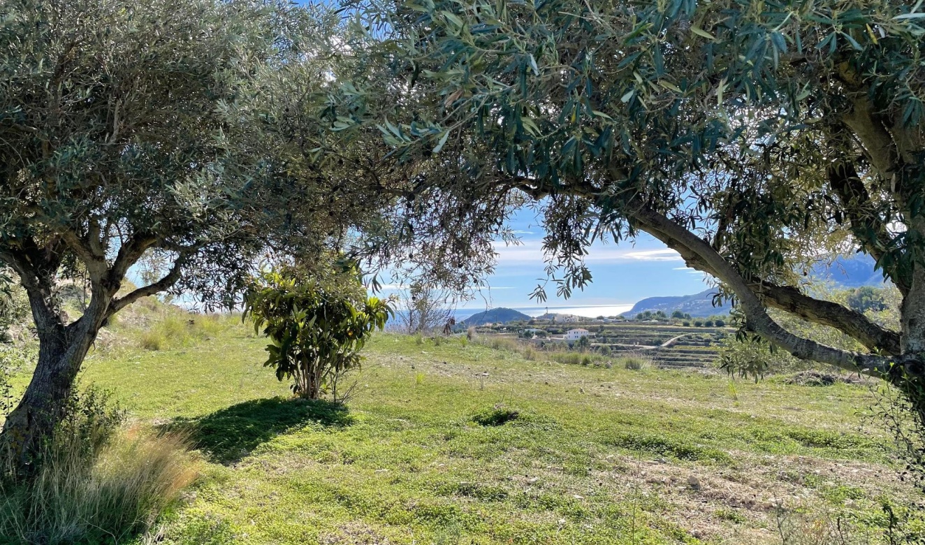 Reventes - Maisons de Campagne - Fincas - Benissa