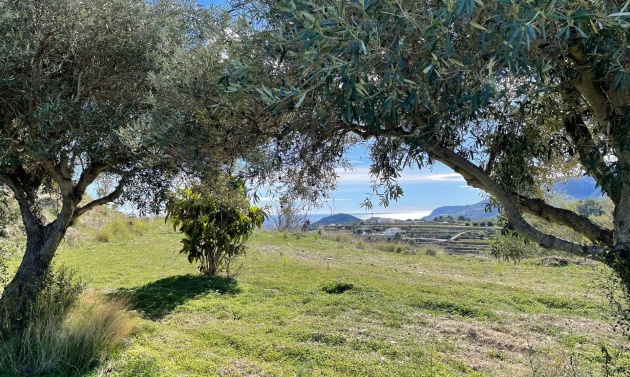 Reventes - Maisons de Campagne - Fincas - Benissa