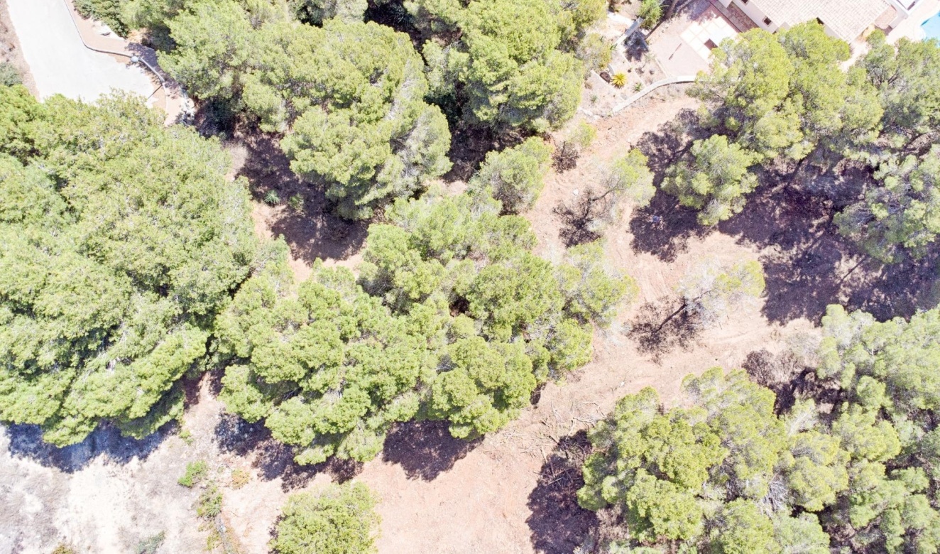 Alquiler a largo plazo - Parcelas y Terrenos - Moraira